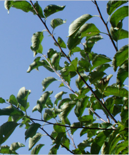 Tuinmeubelen kopen? Heuts - de tuinmeubelen specialist