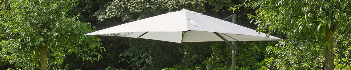 Grijze parasol