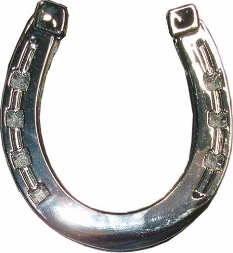 Chrome Hoefijzer Sticker huismerk kopen in de aanbieding