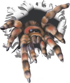 Kogelgat spin groot sticker