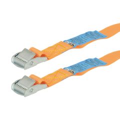 Spanband met gesp Carpoint 2 x 2,5 m 
