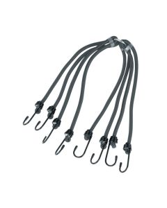 Bagagebinder Carpoint 8 haken ÂÂÂÂÃ˜ 8 mm 30-55 cm