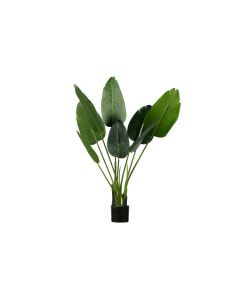 WOOOD Strelitzia Kunstplant Groen - 108 cm