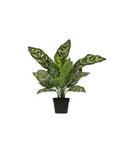 WOOOD Aglaonema Kunstplant Groen - 50 cm