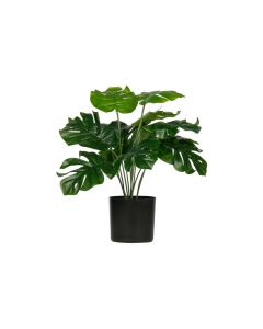 WOOOD Monstera Kunstplant Groen - 40cm