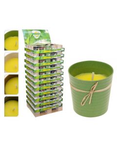 Citronella kaars in eco pot 4ass