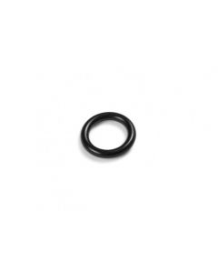 Intex O-ring 10460