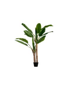 WOOOD Bananenplant Groen - 138 cm