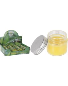 Citronella kaars in potje