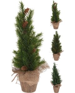 Kerstboom in pot 33 cm 3 soorten