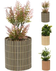 Plant in Bamboe pot 10x10x26cm 