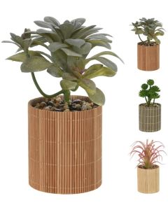 Plant in Bamboe pot 8x8x19cm