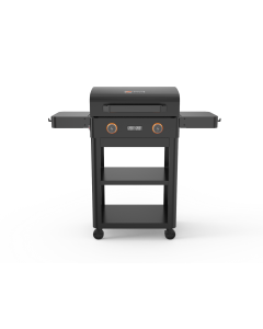 BASTE elektrische bbq - 2300 watt