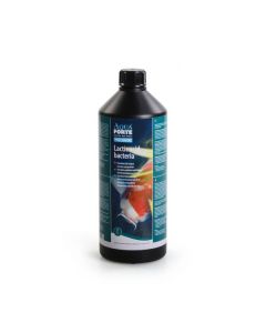 AquaForte Melkzuurbacteriën 1 liter