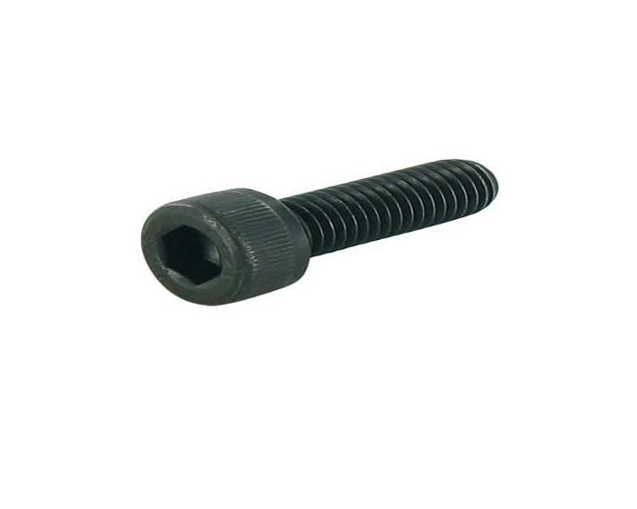 Imbusbout M6 x 20 mm 5 stuks