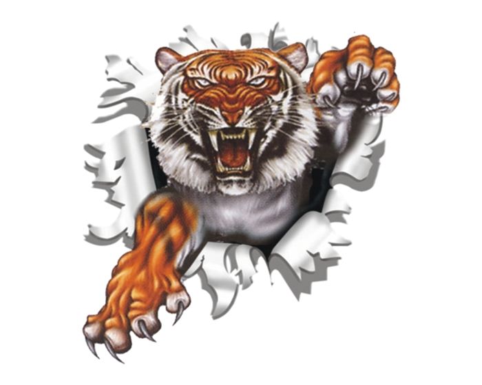 Tijger uit muur sticker 9x9