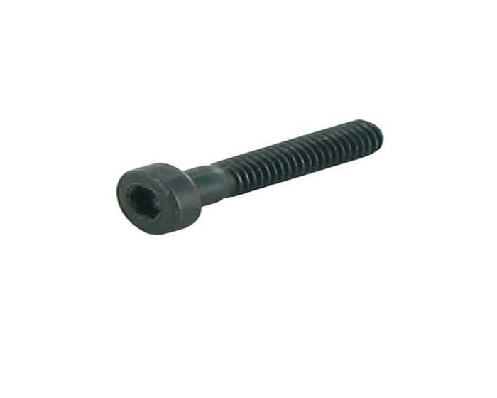 Imbusbout M3 x 20 mm 5 stuks