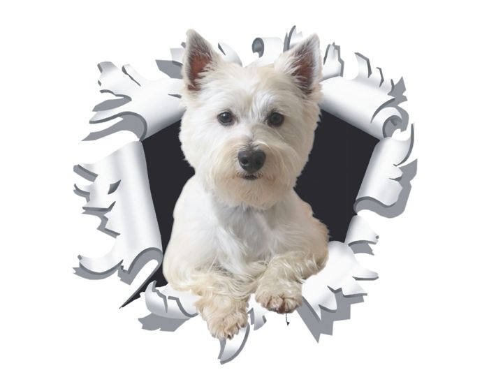Hondje uit kogelgat sticker 17x90