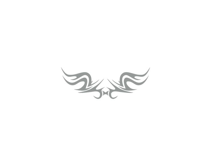 Car tattoo tribal zilver sticker