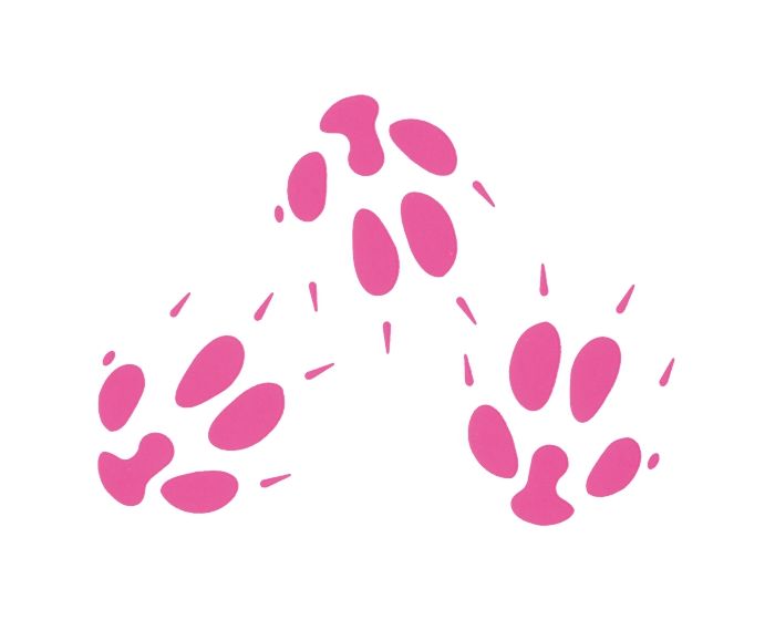 Berepootjes rose sticker