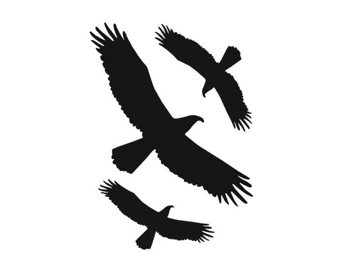 Vogelset raamsticker
