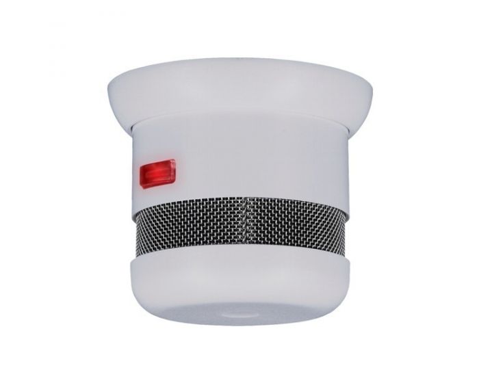 Mini Rookmelder Elro Cavius