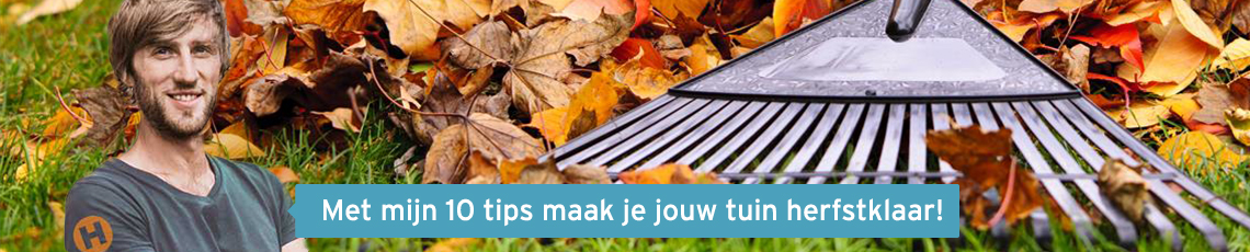 Tuintips herfst