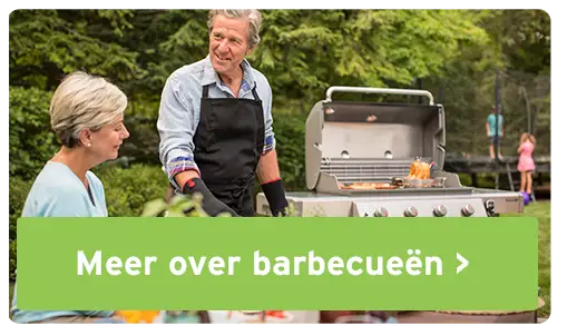 Barbecue banner